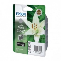 Epson oryginalny ink / tusz C13T059740, light black, 13ml, Epson Stylus Photo R2400 - 1