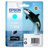 Epson oryginalny ink / tusz C13T76024010, T7602, cyan, 25,9ml, 1szt, Epson SureColor SC-P600 - 1