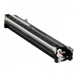 Ricoh oryginalny developer D1773023, yellow, 120000s, D1773028, Ricoh MP C2003SP, MP C2503SP, MP C2011SP, O - 1
