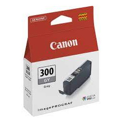 Canon oryginalny ink / tusz PFI300GY, grey, 14,4ml, 4200C001, Canon imagePROGRAF PRO-300 - 1