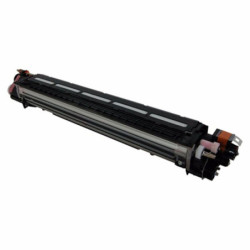 Ricoh oryginalny developer...